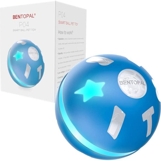 51ru9ARUE3L._AC_SL1001_