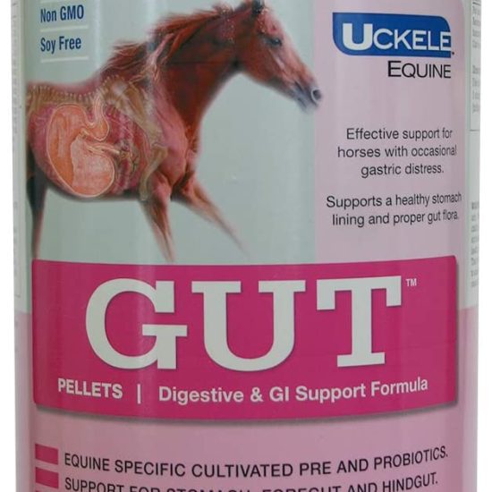 618ul+stoUL._AC_SL1323_