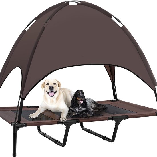 61HGR9FHJaS._AC_SL1500_