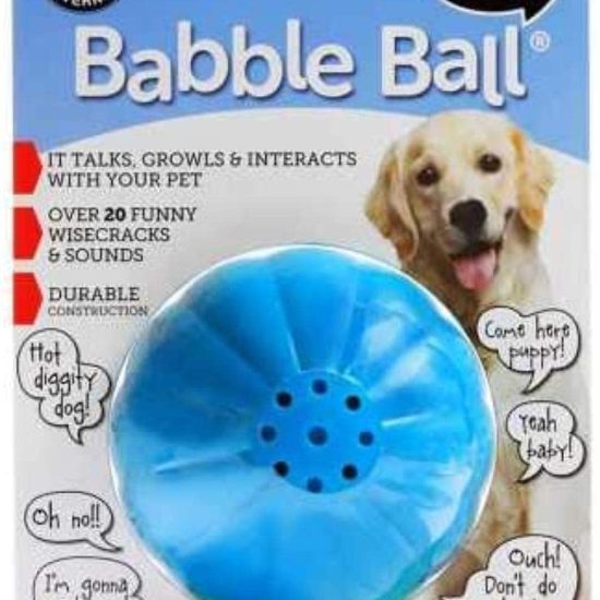 61gh4fSVgcS._AC_SL1350_