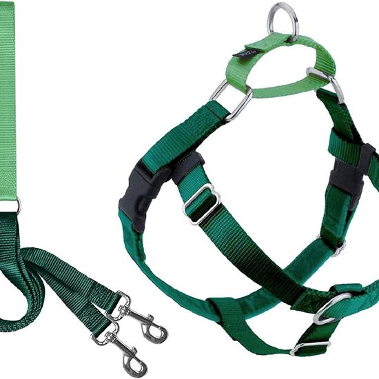 71F4cJManOL._AC_SL1500_