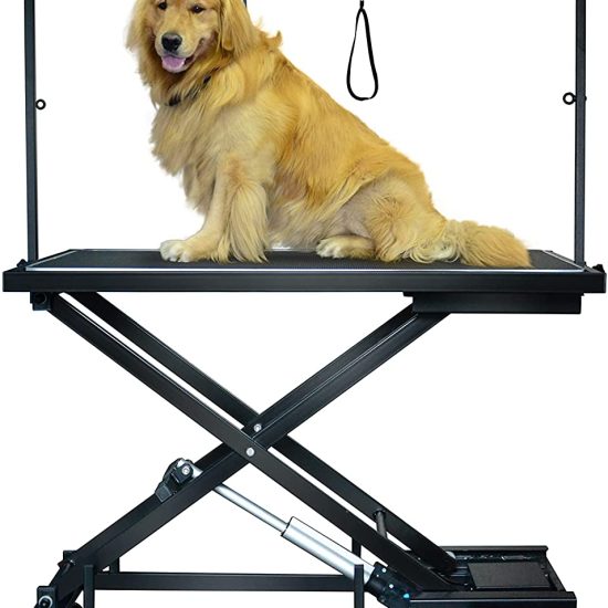 71JkShp3f0S._AC_SL1500_ - Copy