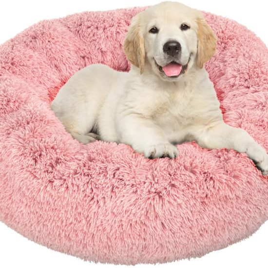 71aL7HdIjLL._AC_SL1500_