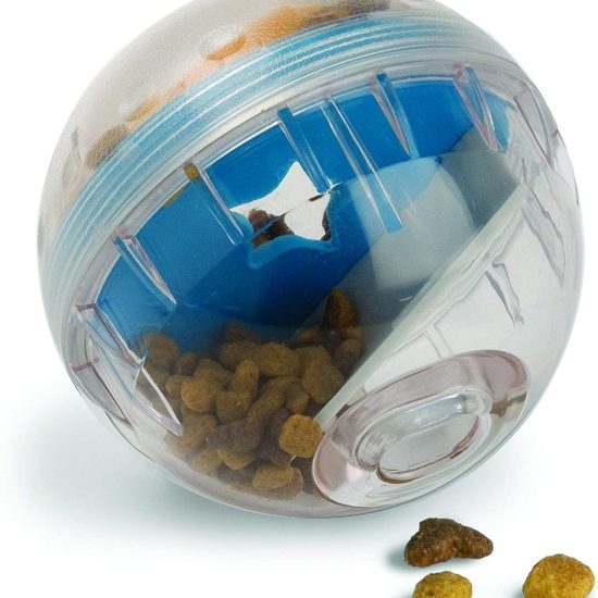 71f2QtZzhLL._AC_SL1500_