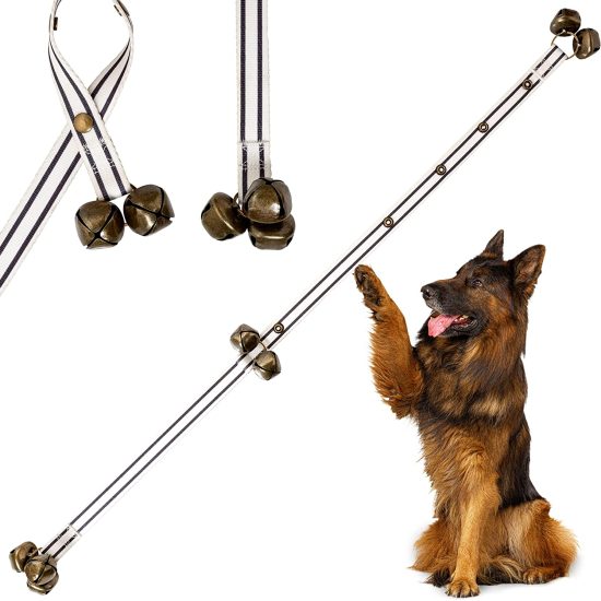 81lxLbLG3NL._AC_SL1500_