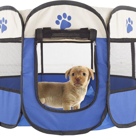 91l2GjCYG0L._AC_SL1500_